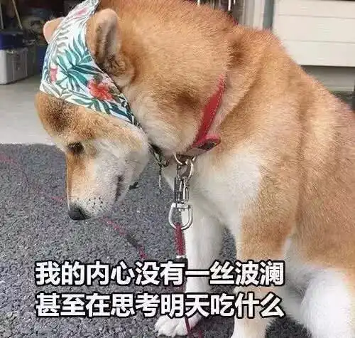 单身狗七夕节表情包狗粮