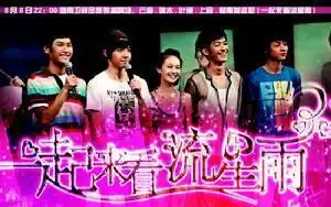 请问一起来看流星雨中的歌曲叫什么名字
