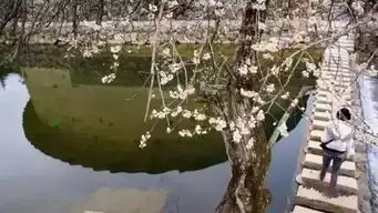 大鱼海棠取景地,从南昌出发1个多小时就到,人间仙境美轮美奂
