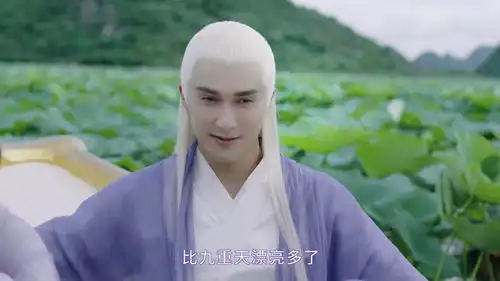 三生三世枕上书白滚滚真身之谜揭晓,他才是帝君最爱的那一款
