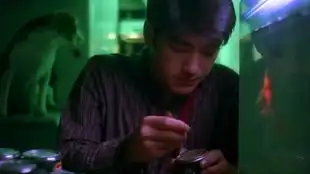 王家卫电影的经典台词我开始怀疑,在这个世界上,还有什么东西是不会过期的

