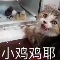 轻松一刻不上班可不可以我偷外卖养你啊