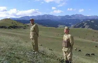 冰山上的来客剧照
