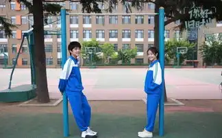 你好,旧时光剧照
