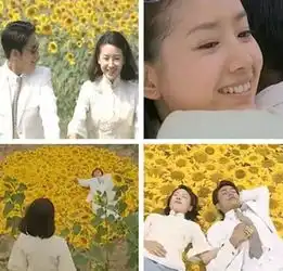 双11光棍节送花,脱光大行动
