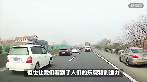 国庆高速大堵车,竟然有人下车遛狗解闷