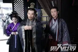 樗里疾的结局芈月传樗里疾谁演的结局曝光樗里疾是嬴疾吗为什么不姓嬴男人世界
