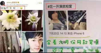 家暴出轨求锤得锤这位隐婚小鲜肉故事堪比薛之谦李雨桐事件
