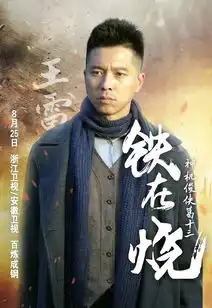 铁在烧剧照
