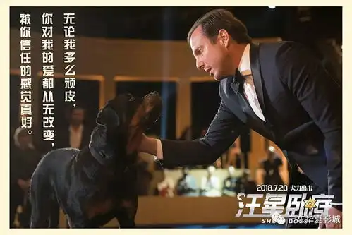 汪星卧底卧底天团亮相犬力出击笑傲暑期
