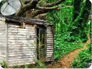 树林小木屋
