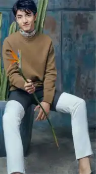 你和我的倾城时光电视剧在哪看小说男主厉致诚扮演者金瀚2

