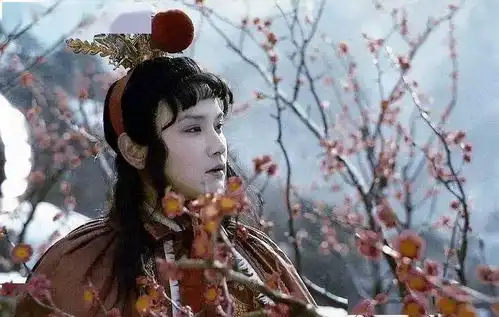 戏里戏外红楼梦人生苦短,切莫执念太深
