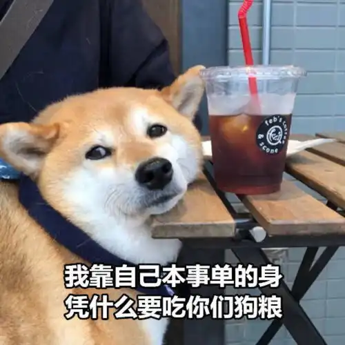 单身狗七夕节表情包表情