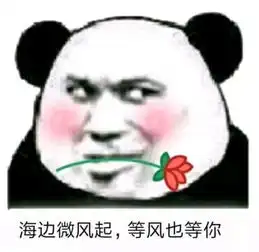 表情包我等你好久了,快说爱我
