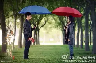 步步惊情康司瀚是被殷正绑架活埋的吗康司瀚报复殷正与张晓结婚
