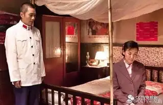 深夜档份额破8,豆瓣评分冲至9.3大娘子也在追这部央视经典
