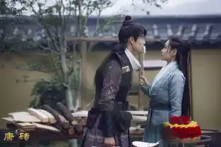 唐砖剧照
