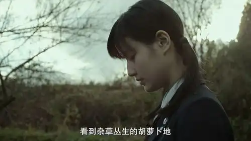 小森林夏秋篇
