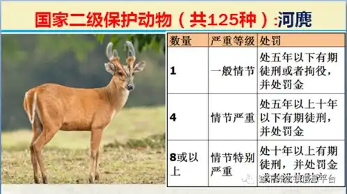 国家最新125类二级野生保护名录,图片及违法对应刑责

