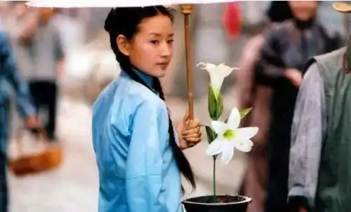 金粉世家1段凄美的爱情故事,2条不同路的人谁看懂了
