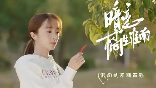我和你的不期而遇,我以为是爱情来了,或许只是一厢情愿
