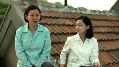 还记得父母爱情里的老丁吗本名叫任帅,也是闯关东中震三江

