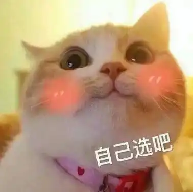 日常秀恩爱表情包
