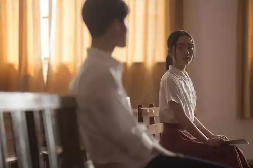 你好之华情书
