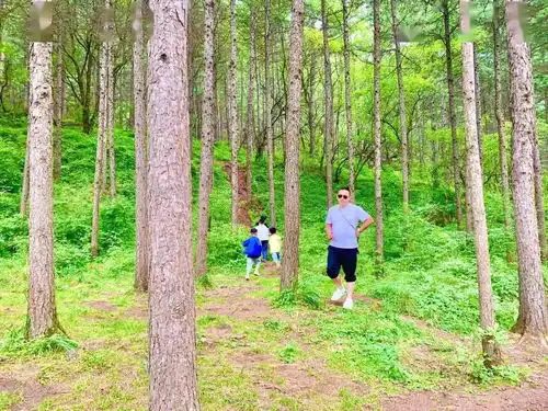 小长假第一天疫情防控森林防火和旅游安全两手抓,八方宾朋在这里纵享清凉,游山玩水
