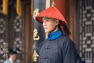 如懿传佳丽三千妃嫔剧照首曝光
