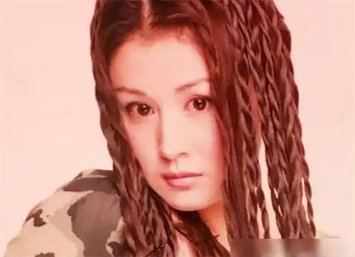 中年女星年轻时模样,刘嘉玲美艳,刘晓庆标致,宋丹丹像在逃公主