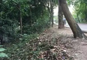 马云称死后墓志铭就写这句话
