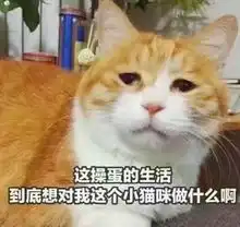 男星带娃这么硬核,这些娃是不是捡来的