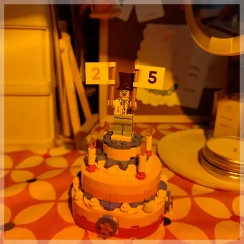 准备过生日的进
