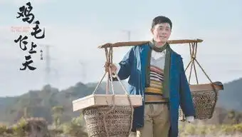 鸡毛飞上天让madeinchina走遍全球
