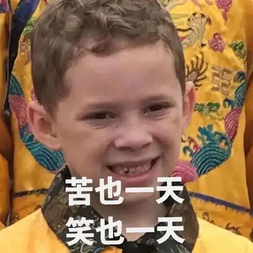 中也表情包微笑