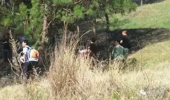 一个烟头,就烧了7亩多山林,野外用火千万小心