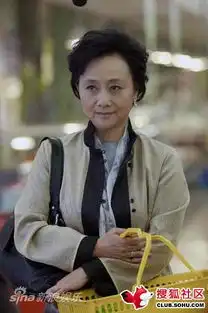 黄梅莹电视剧剧照
