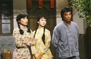 这个角色居然不是上海滩冯程程,而是女黑侠木兰花
