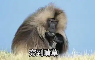 纯天然的动物表情包生物达人必备二