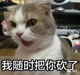 肥唐说爹给儿报仇拿大刀砍人,上演现实版古惑仔
