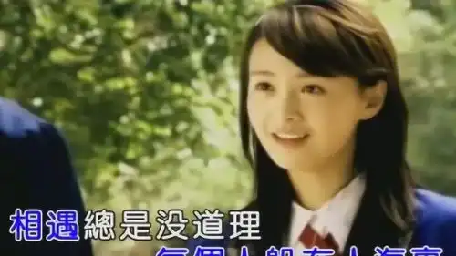 许飞我要的飞翔搭配一起来看流星雨小姐姐声音很温暖
