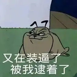 一说因为只会because其它9个也可以张口就来
