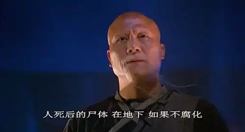 僵尸大时代看电影关注我