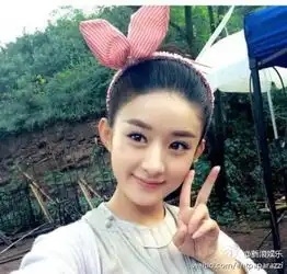 新浪娱乐