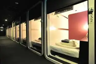 日本年轻人的胶囊旅馆堪称蜗居中的豪宅
