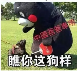 这个毛绒玩具叫什么名字