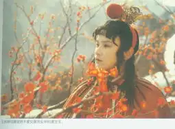 87版红楼宝哥哥剧照一
