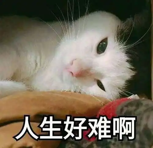 杭州有哪些音乐艺考培训机构
